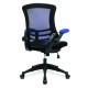 Luna Two Tone Mesh Back Task Office Chair